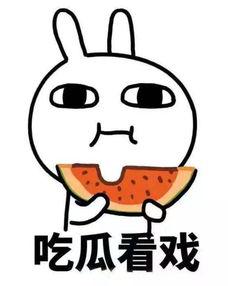 娱乐吃瓜君右上角有什么,右上角隐藏的秘密